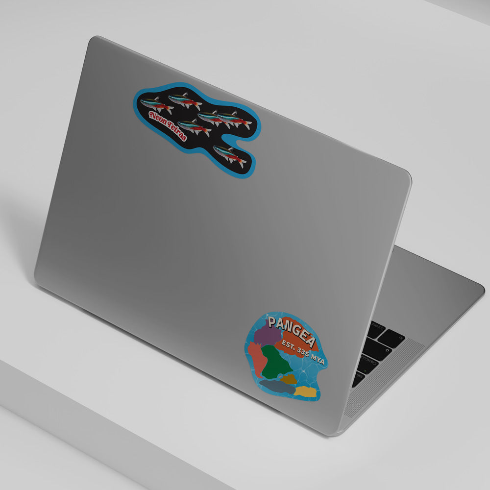 Pangea Earth Vinyl Sticker