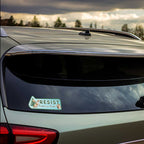 Protect Our Parks Vinyl Sticker